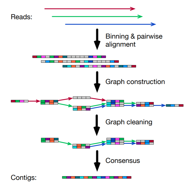 building_genome.png